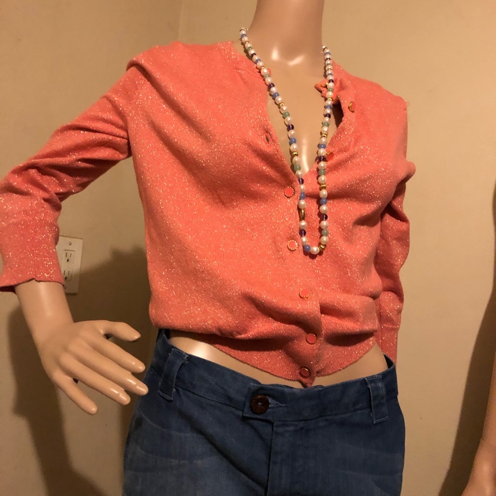 Nine West new sweater and Republic banana pant new